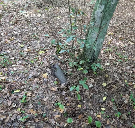 У Львові знищили снаряд і гранату часів Другої світової війни