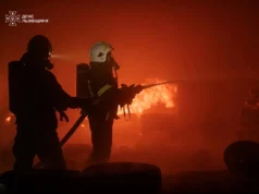 За добу на Львівщині рятувальники загасили 42 пожежі, більшість — в екосистемах