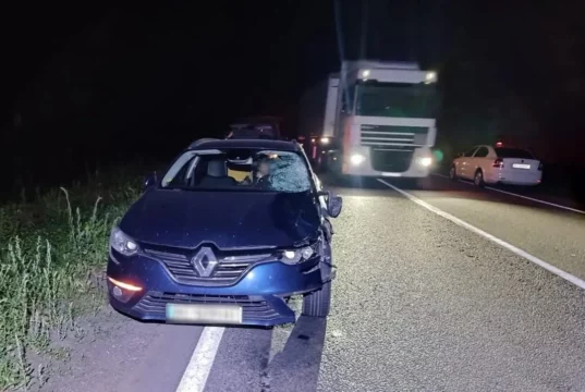 На трасі Львів–Луцьк загинув пішохід унаслідок наїзду автомобіля