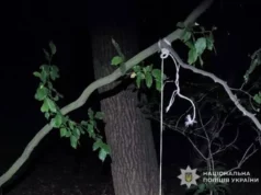На Львівщині передадуть до суду чоловіка, який повісив собаку на дереві На Львівщині передадуть до суду чоловіка, який повісив собаку на дереві