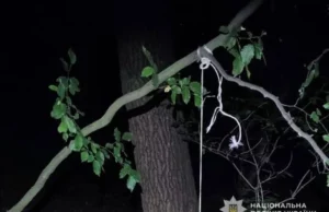 (Українська) На Львівщині передадуть до суду чоловіка, який повісив собаку на дереві На Львівщині передадуть до суду чоловіка, який повісив собаку на дереві