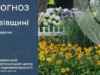 Прогноз погоди на 14 серпня: антициклон над Польщею принесе суху та теплу погоду