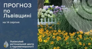 Прогноз погоди на 14 серпня: антициклон над Польщею принесе суху та теплу погоду