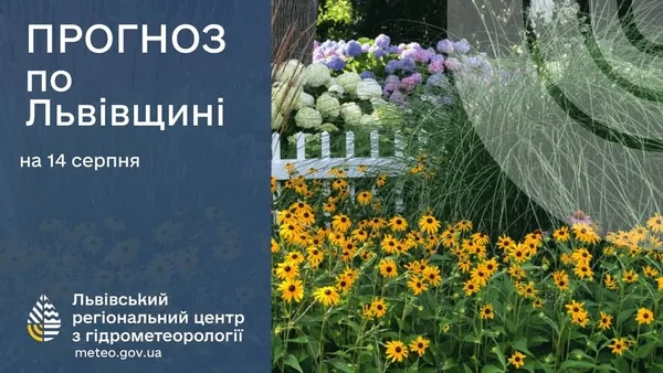 image Прогноз погоди на 14 серпня: антициклон над Польщею принесе суху та теплу погоду
