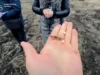 (Українська) Суд зобов’язав повернути громаді 15 га землі в селі Гряда Суд зобов’язав повернути громаді 15 га землі в селі Гряда