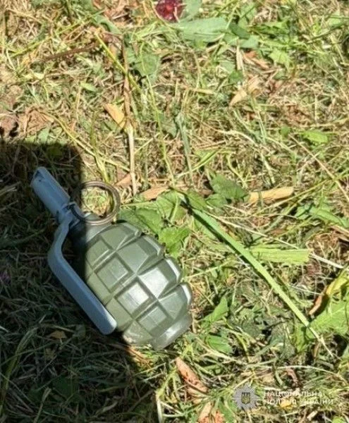 У Львові на подвір’ї будинку виявили навчально-тренувальну гранату