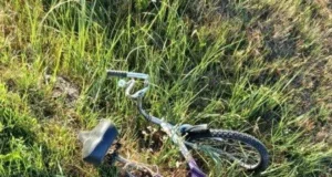 На Львівщині загинув велосипедист унаслідок наїзду ВАЗ-2101