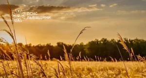 16–17 серпня на Львівщині прогнозують надзвичайну пожежну небезпеку