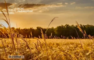 16–17 серпня на Львівщині прогнозують надзвичайну пожежну небезпеку 16–17 серпня на Львівщині прогнозують надзвичайну пожежну небезпеку
