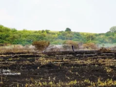 На Львівщині за добу ліквідували 39 пожеж в екосистемах