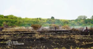 На Львівщині за добу ліквідували 39 пожеж в екосистемах