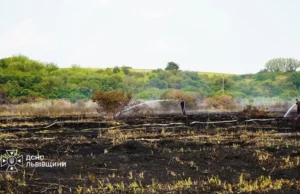 На Львівщині за добу ліквідували 39 пожеж в екосистемах