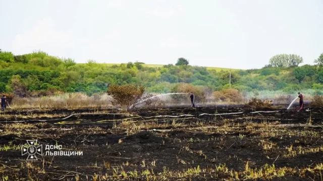 image На Львівщині за добу ліквідували 39 пожеж в екосистемах