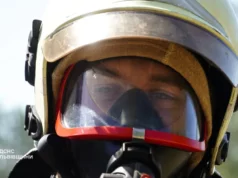За добу на Львівщині зафіксували 27 пожеж, з них 13 в екосистемах