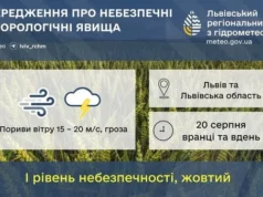 20 серпня на Львівщині очікують сильний вітер і грози