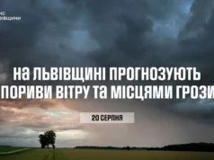На Львівщині 20 серпня очікують пориви вітру та грози На Львівщині 20 серпня очікують пориви вітру та грози