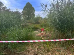 На Львівщині піротехніки знищили мінометну міну часів Другої світової війни На Львівщині піротехніки знищили мінометну міну часів Другої світової війни