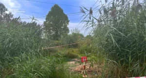 На Львівщині піротехніки знищили мінометну міну часів Другої світової війни