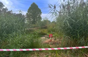 На Львівщині піротехніки знищили мінометну міну часів Другої світової війни На Львівщині піротехніки знищили мінометну міну часів Другої світової війни