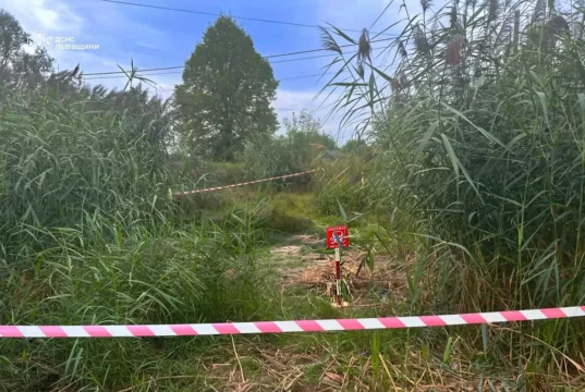 На Львівщині піротехніки знищили мінометну міну часів Другої світової війни