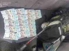 На Львівщині перевізника без водійських прав засудили до 7 років за сприяння нелегальному виїзду