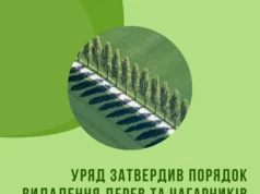 Уряд затвердив новий порядок видалення дерев за межами населених пунктів