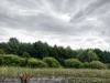 У Івано-Франковому рятувальники визволили жінку з болотистої місцевості