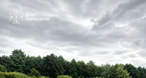 У Івано-Франковому рятувальники визволили жінку з болотистої місцевості