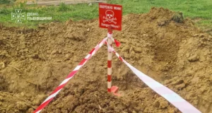 На Стрийщині піротехніки знищили сім мінометних мін часів Другої світової