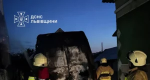 У селі Нова Кам'янка на Львівщині згорів мікроавтобус Mercedes-Benz Sprinter