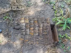 На Львівщині піротехніки ДСНС знищили гранату, патрони та артснаряди часів Другої світової