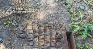 На Львівщині піротехніки ДСНС знищили гранату, патрони та артснаряди часів Другої світової