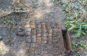 На Львівщині піротехніки ДСНС знищили гранату, патрони та артснаряди часів Другої світової