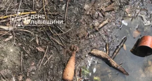 У Магерові в обмілілому озері знайшли мінометні міни часів Другої світової війни