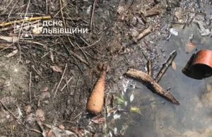 У Магерові в обмілілому озері знайшли мінометні міни часів Другої світової війни У Магерові в обмілілому озері знайшли мінометні міни часів Другої світової війни