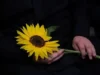 У Львові проведуть вечір-реквієм до Дня пам’яті захисників України