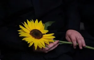 У Львові проведуть вечір-реквієм до Дня пам’яті захисників України