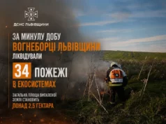 На Львівщині за добу загасили 34 пожежі в екосистемах На Львівщині за добу загасили 34 пожежі в екосистемах