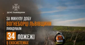 На Львівщині за добу загасили 34 пожежі в екосистемах