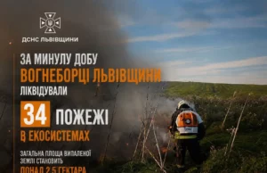 На Львівщині за добу загасили 34 пожежі в екосистемах На Львівщині за добу загасили 34 пожежі в екосистемах