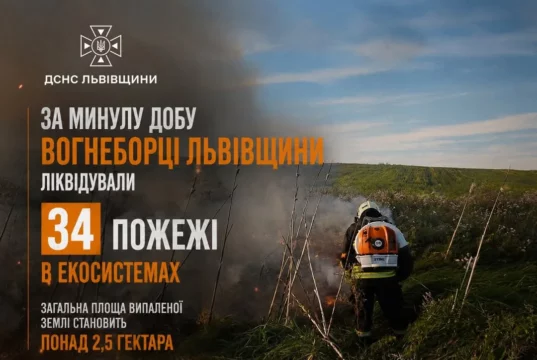 На Львівщині за добу загасили 34 пожежі в екосистемах