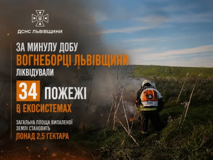 На Львівщині за добу загасили 34 пожежі в екосистемах