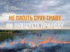На Львівщині за добу зафіксували 14 пожеж в екосистемах