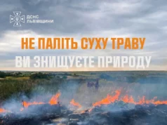 На Львівщині за добу зафіксували 14 пожеж в екосистемах
