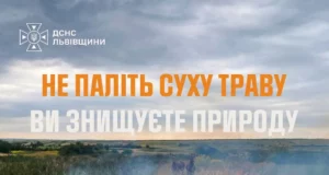 На Львівщині за добу зафіксували 14 пожеж в екосистемах