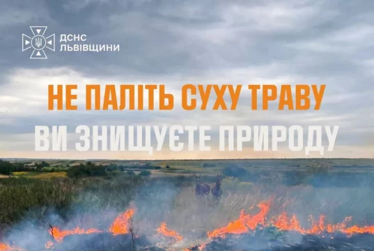 На Львівщині за добу зафіксували 14 пожеж в екосистемах