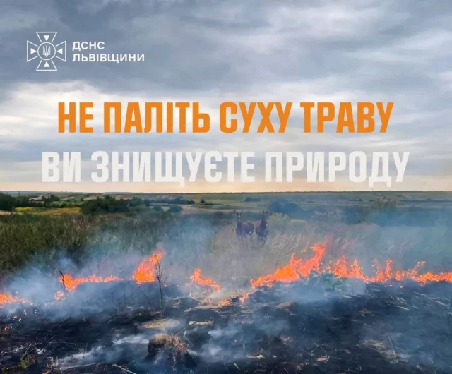 image На Львівщині за добу зафіксували 14 пожеж в екосистемах