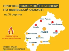 31 серпня прогнозують високу та надзвичайну пожежну небезпеку