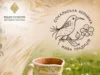 У Шептицькому відбудеться фестиваль «Сокальська кераміка — жива традиція»