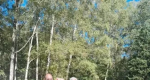 Стриянин Ігор Сафіяник вдруге поспіль виграв Кубок Європи з автомодельного спорту